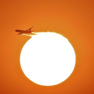 Логотип телеграм канала @aboutpm — AboutPM