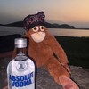 Логотип телеграм канала @absolutxscript — Absolut X Script