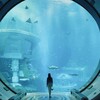Логотип телеграм канала @abudhabi_insider — Инсайды Абу-Даби