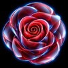 Логотип телеграм канала @abuseqr — RoseUp(MIREA)