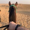 لوگوی کانال تلگرام abuxavla — لقلو بكم