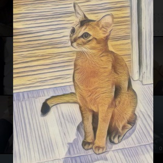 Логотип телеграм канала @abyssiniancat_bagheera — Багира (Баги) - блог кошечки🐱