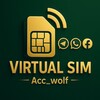 لوگوی کانال تلگرام ac_zani1 — 𓆩Acc_wolf𓆪