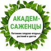 Логотип телеграм канала @academ_sagency — Академ-Саженцы