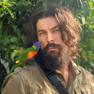 Логотип телеграм канала @academeco — Академический эколог