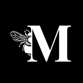 Логотип телеграм канала @academy_mesto — ACADEMY_MESTO