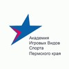 Логотип телеграм канала @academy59 — Академия игровых видов спорта Пермского края