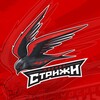 Логотип телеграм канала @academy_strizhi — АКАДЕМИЯ СПОРТА СТРИЖИ МОСКВА
