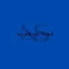 Логотип телеграм канала @academysoul — NaSvet