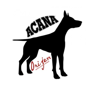 Логотип телеграм канала @acanarussia — Acana, Orijen корма для собак и кошек