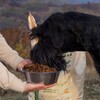 Логотип телеграм канала @acariciar — Акари Киар Юг