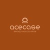 Логотип телеграм канала @acecase_opt — AceCase — аксессуары для iPhone оптом, премиальные чехлы, защитные стёкла и линзы