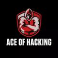 Logo saluran telegram aceofhacking — Ace Of Hacking