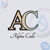 Logo of telegram channel achiever_builds — ALPHA BUILDS