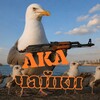 Логотип телеграм канала @ackachiki — Ackachiki