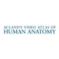 Logo saluran telegram aclands_anatomy — Acland's Anatomy