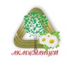 Логотип телеграм канала @aclic_licey_official — Академический лицей им. Г. А. Псахье г. Томска