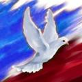 Logo de la chaîne télégraphique actionsfrance - 🇫🇷 Actions France