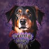 Logo of telegram channel activitydogs — ᴀᴄᴛɪᴠɪᴛʏ ᴅᴏɢs