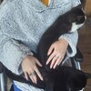 Логотип телеграм канала @actlikepsycho — боль, но