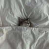 Логотип телеграм канала @actuallyrightnow — Еще актуально