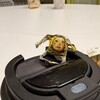 Логотип телеграм канала @adekbat_ch — дневник щитпостов