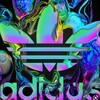 Logo of telegram channel adidassity — Adi.new2023
