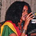 Logo saluran telegram adimerax — አዲ መራ world music🎤 and funny videos