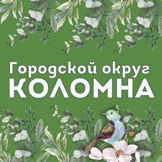 Логотип телеграм канала @adm_kolomna — Городской округ Коломна