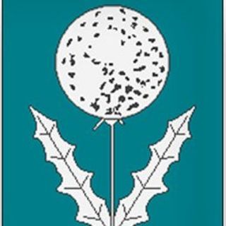 Логотип телеграм канала @adm_ser — Администрация Серышевского муниципального округа