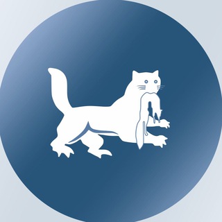 Логотип телеграм канала @admirk — Город Иркутск