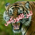 Logo saluran telegram adouchahd — 💯 نمر الفوركس 💯