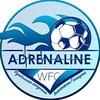 Логотип телеграм канала @adrenaline_fa — ЖФК «Адреналин» Москва