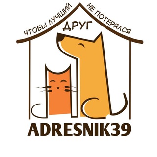 Логотип телеграм канала @adresnik39 — Адресники для собак Калининград