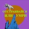 Логотип телеграм канала @adsbyfreud — ОТСТРАИВАЙСЯ ИЛИ УМРИ 🧨