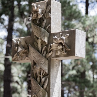 Logo of telegram channel advisersgraveyard — Adviser's Graveyard