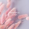Logo of telegram channel ae_place — aesthetic place