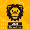 Логотип телеграм -каналу aehstudy — AEH ✙ Uczelnia 💋🎄 #УкрТГ