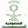 Logo saluran telegram aenkasnews — قناة عين السعودية الإخبارية