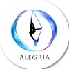 Логотип телеграм канала @aerialsochi — Команда "Alegria" Сочи