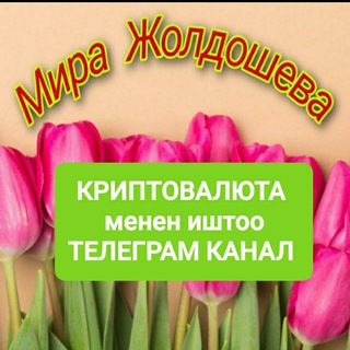 Telegram арнасының логотипі aerodropmira — КРИПТОВАЛЮТА менен иштоо Мира Жолдошева Кыргызстан