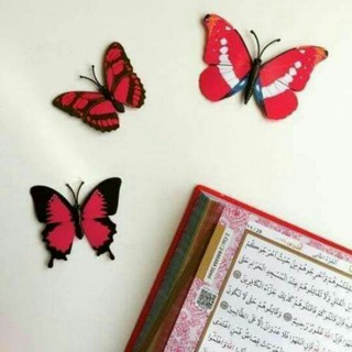 Telegram арнасының логотипі aeslamona — حفيـ🦋ـدات الإسـ🦋ـلام