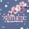 Логотип телеграм канала @aesthetic_ris — Aesthetic - РИС