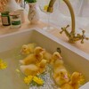 Логотип телеграм канала @aestheticdiaryad — Эстетический дневник