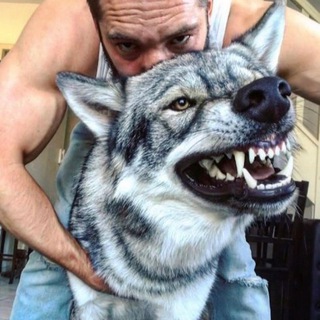Логотип телеграм канала @aesthetics_of_dogs — •| Зубастый Дом |•