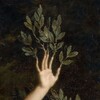 Логотип телеграм канала @aestheticsecho — æsthetics echo
