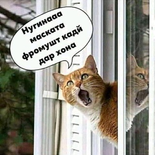 टेलीग्राम चैनल का लोगो afandihoi_tojiki — Афандихои точики😂😄