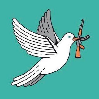 Логотип телеграм канала @afghan_dove — Афганская голубка
