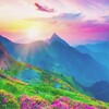 Логотип телеграм -каналу afirmaciiforeveryday — Афірмації На Кожен день-Простий Інструмент Для Позитивних Змін