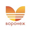 Логотип телеграм канала @afisha_voronez — Афиша.Воронеж